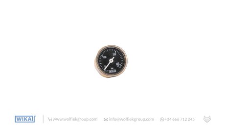 WIKA Analogue Gauge (0 - 315 BAR) · Black Limited Edition